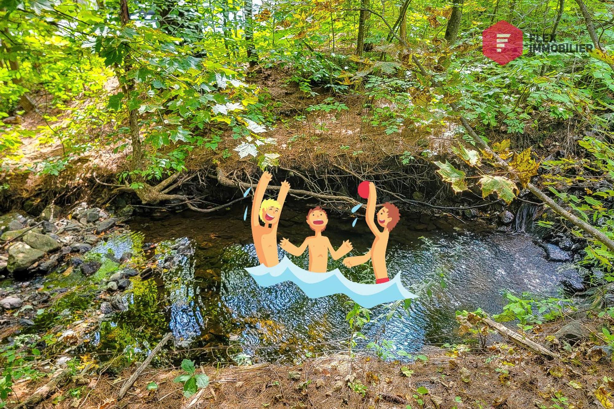 L'Arbre De La Montagne Orford - Ski Hiking Bicking Golf Beaches Magog Exteriér fotografie
